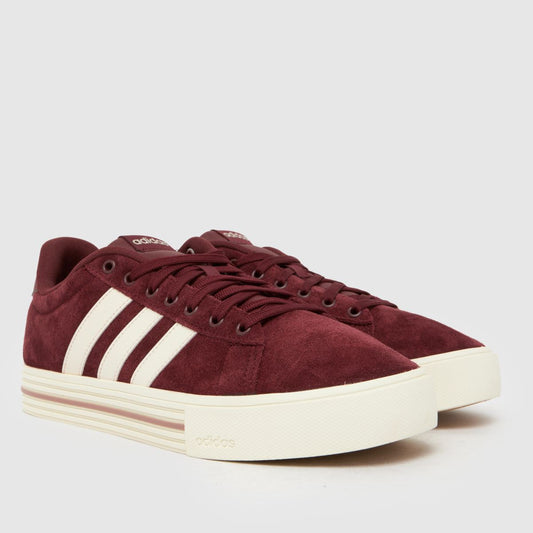 Daily 4.0 in Burgundy