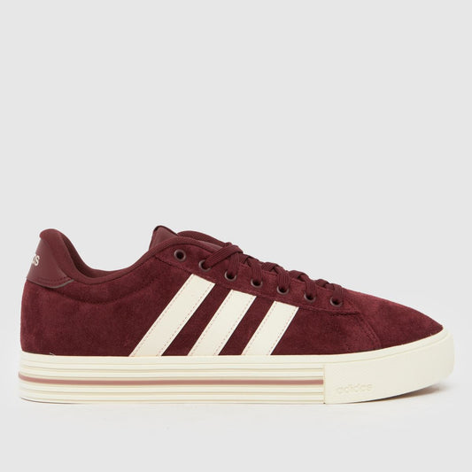 Daily 4.0 in Burgundy
