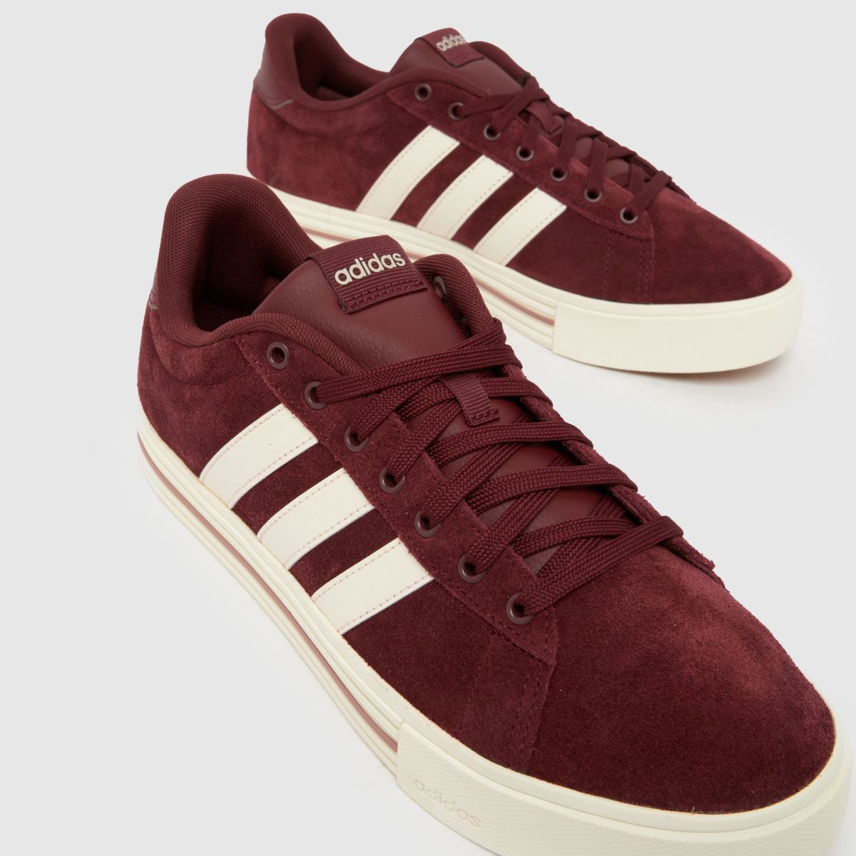 Daily 4.0 in Burgundy