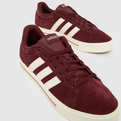 Daily 4.0 in Burgundy