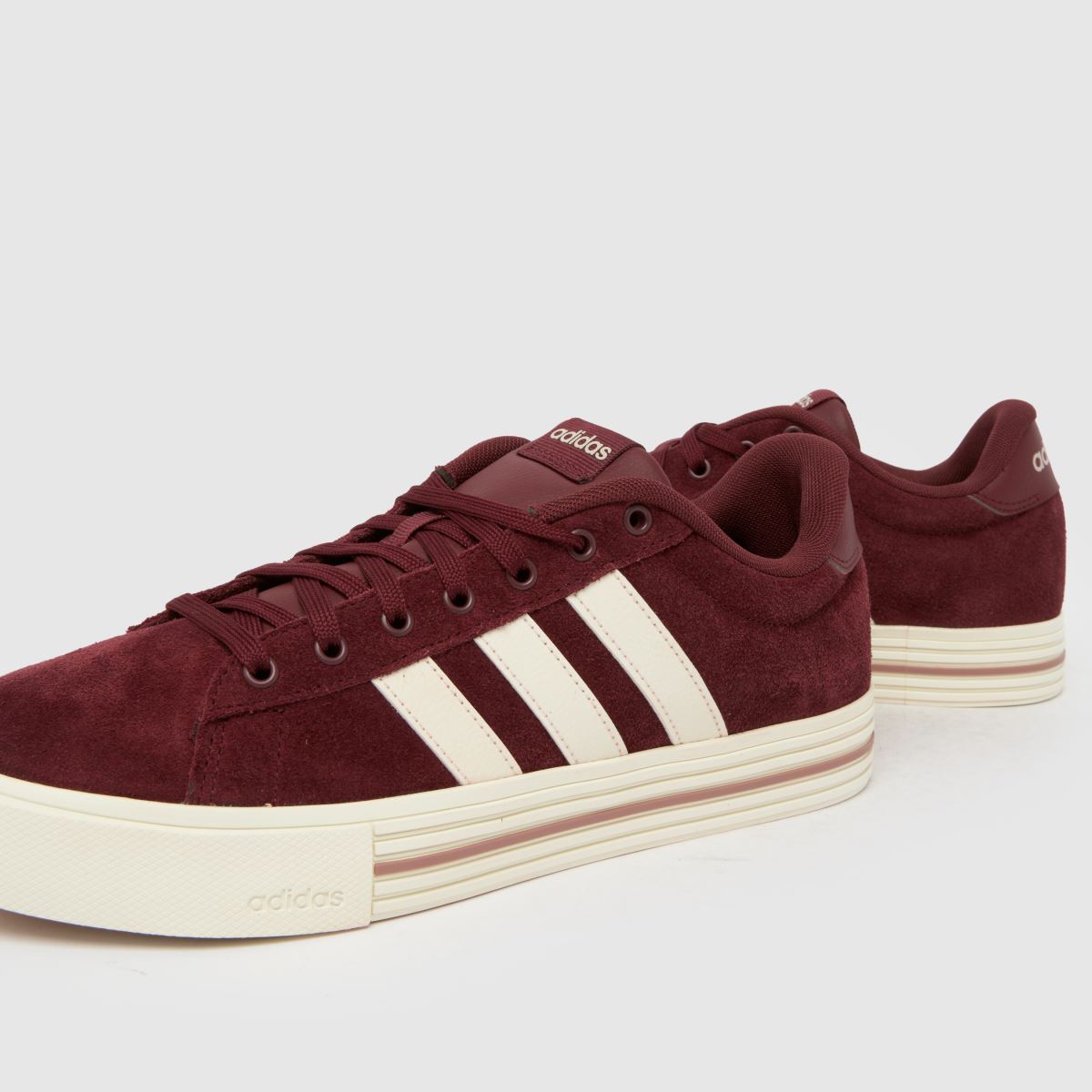 Daily 4.0 in Burgundy