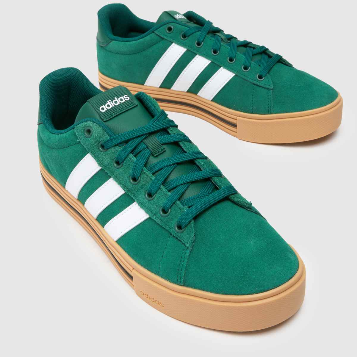 Daily 4.0 in Green