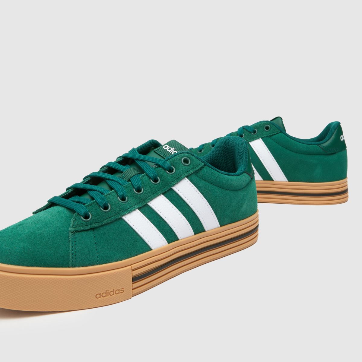 Daily 4.0 in Green